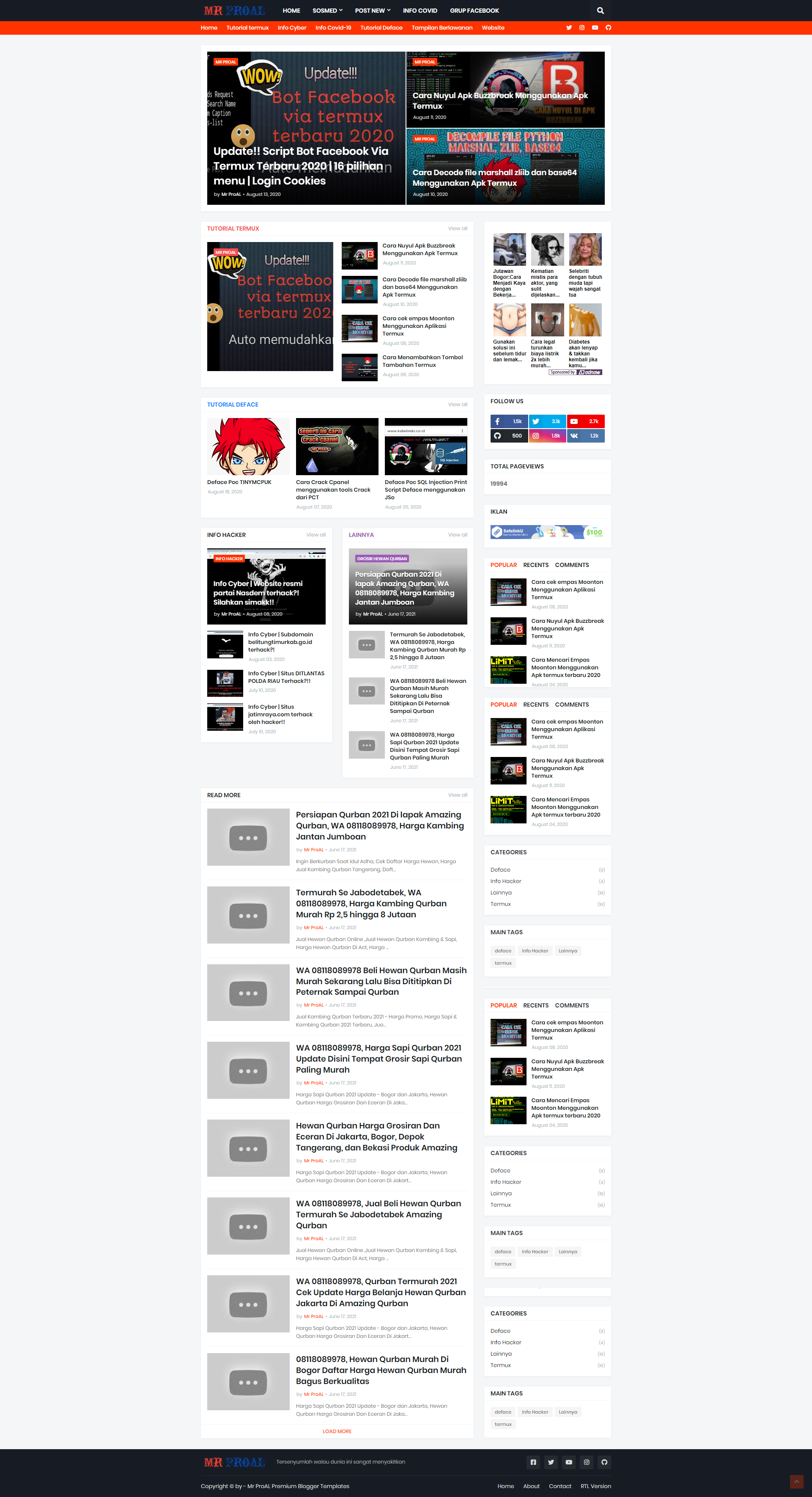portfolio
